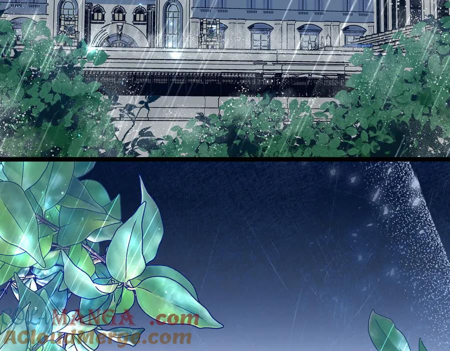 第217页