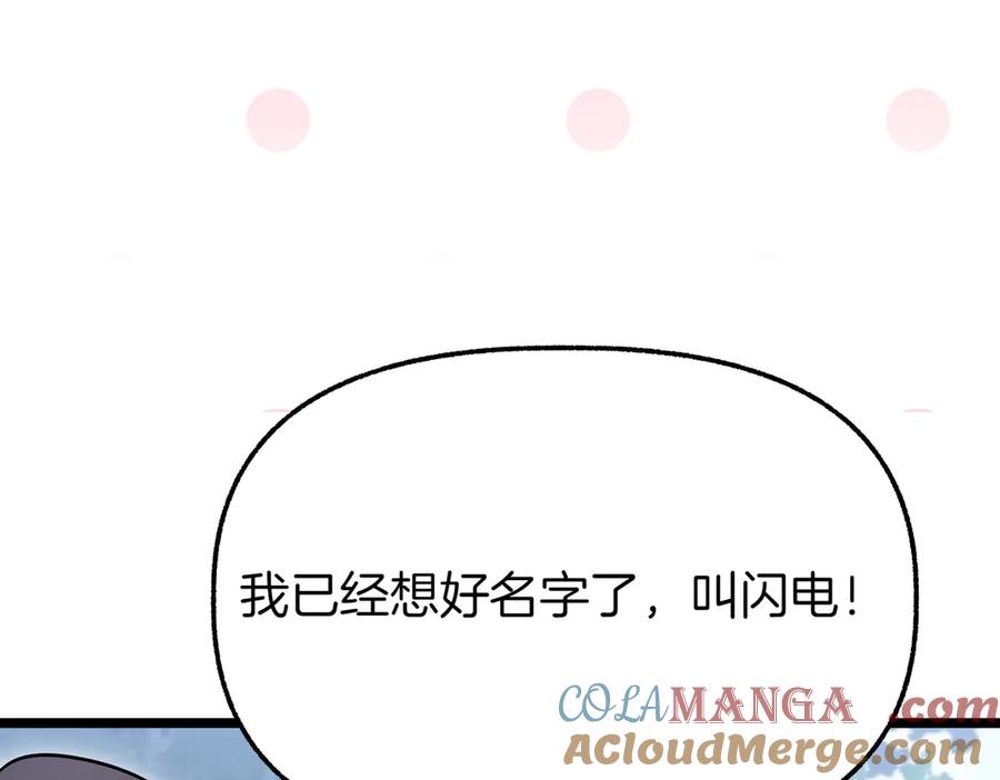 第205页