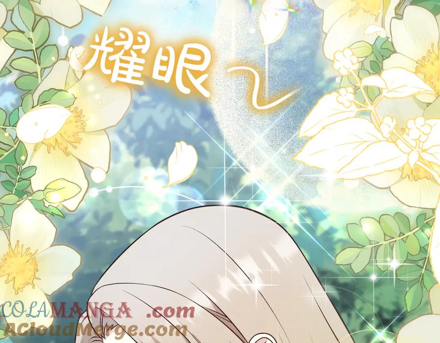 第205页