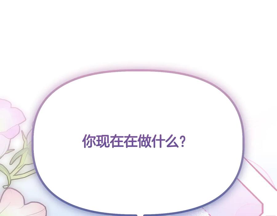 第242页