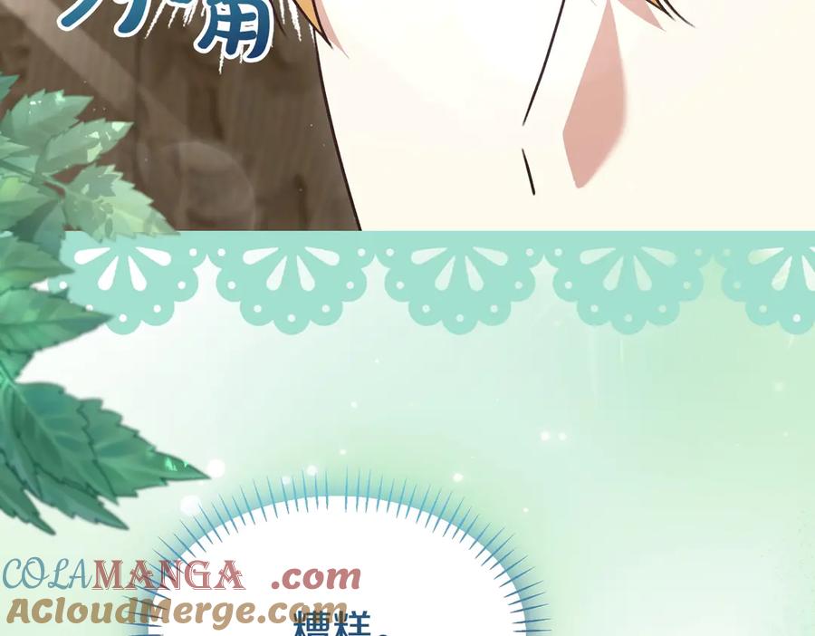 第221页