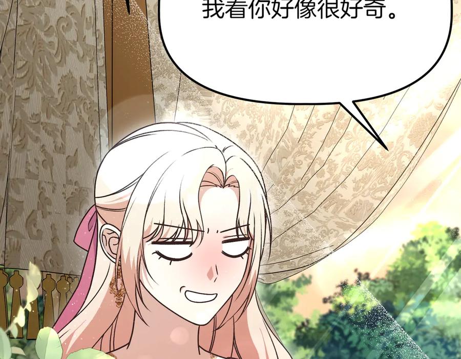 第223页