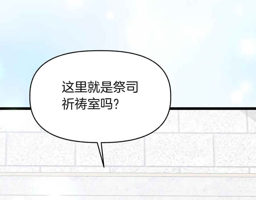 第223页