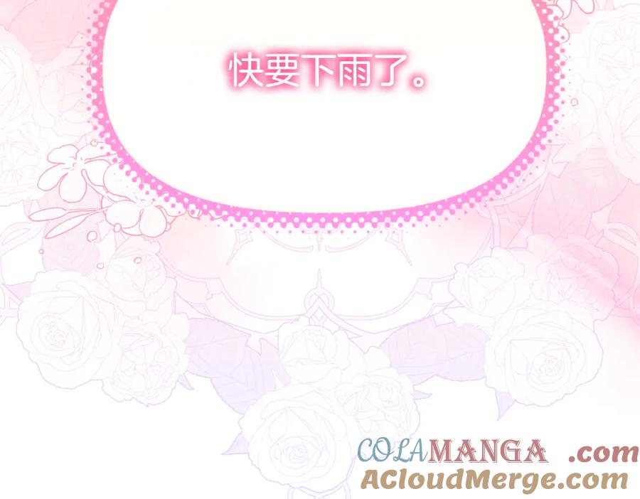 第241页