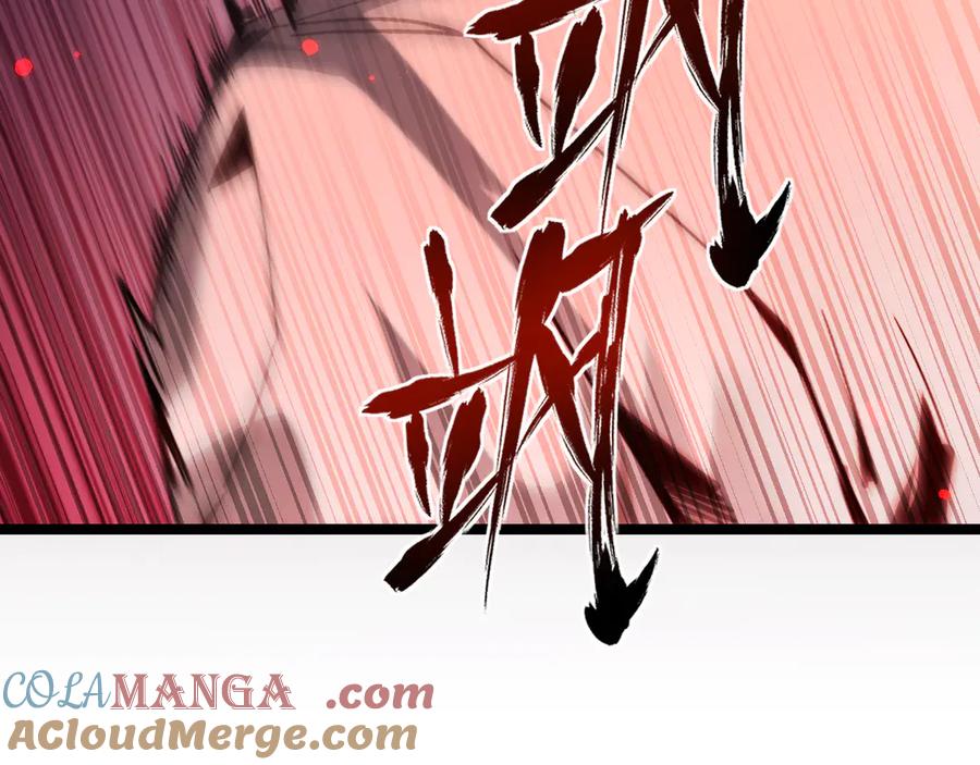 第205页