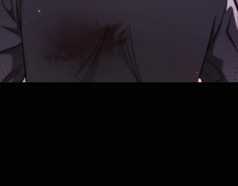 第224页