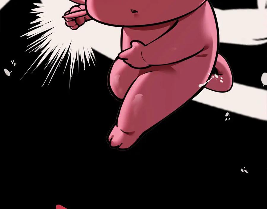 第204页