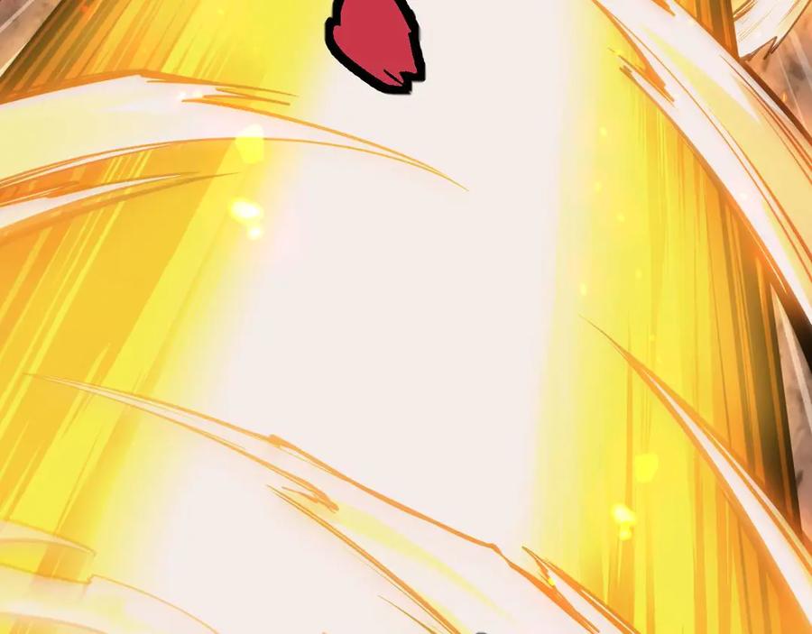 第208页