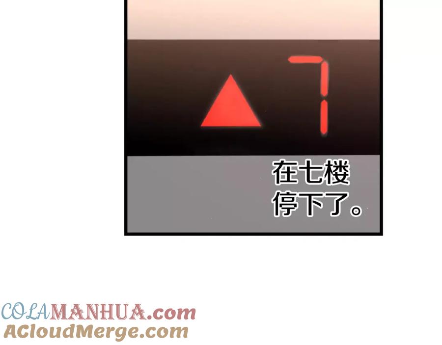第213页