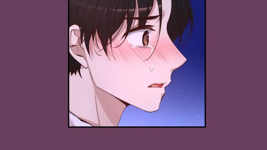 第223页