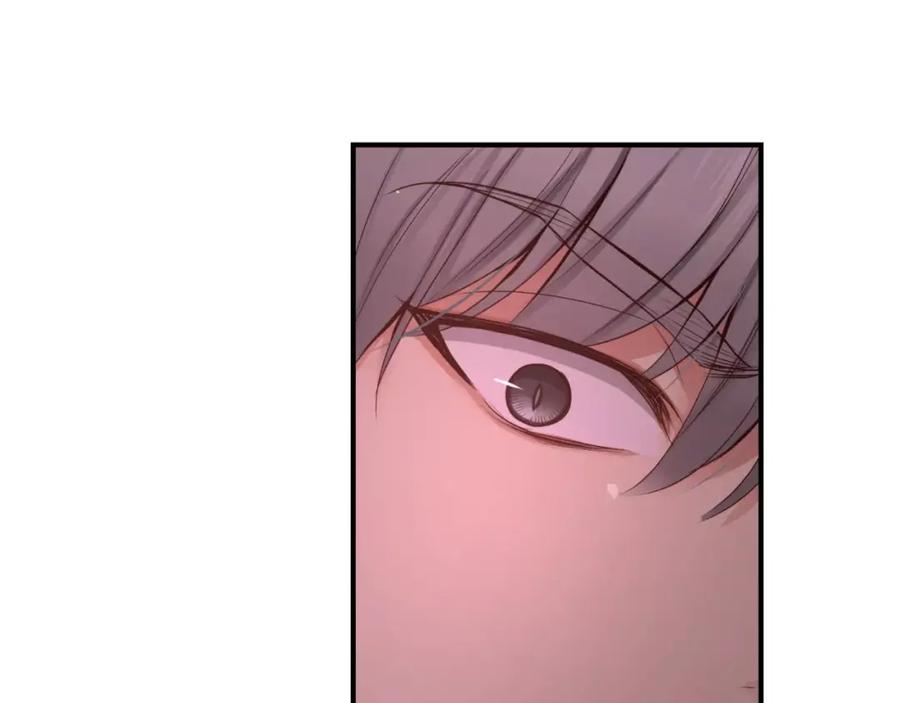 第246页