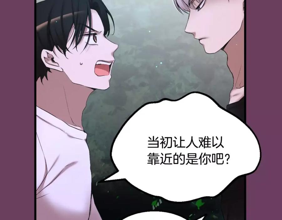 第244页