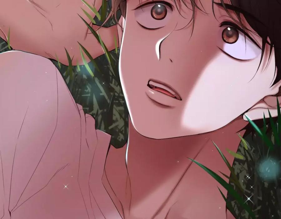 第311页