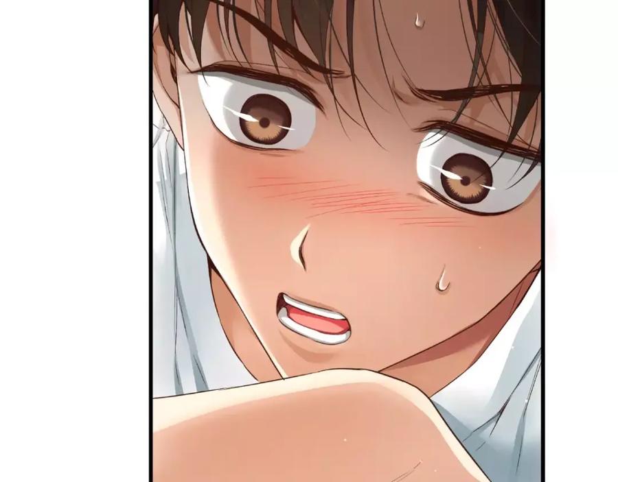 第196页