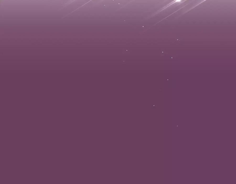 第223页