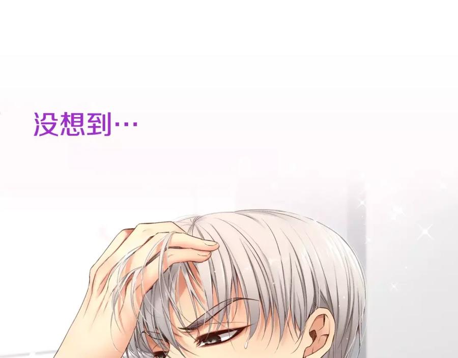 第204页