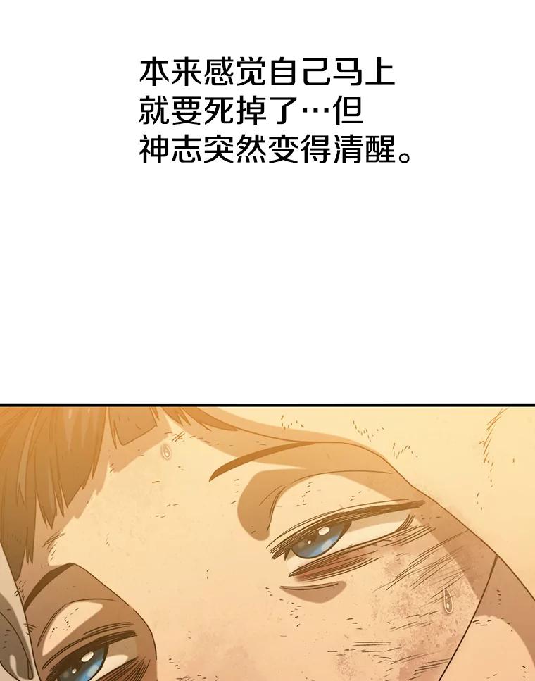 第231页