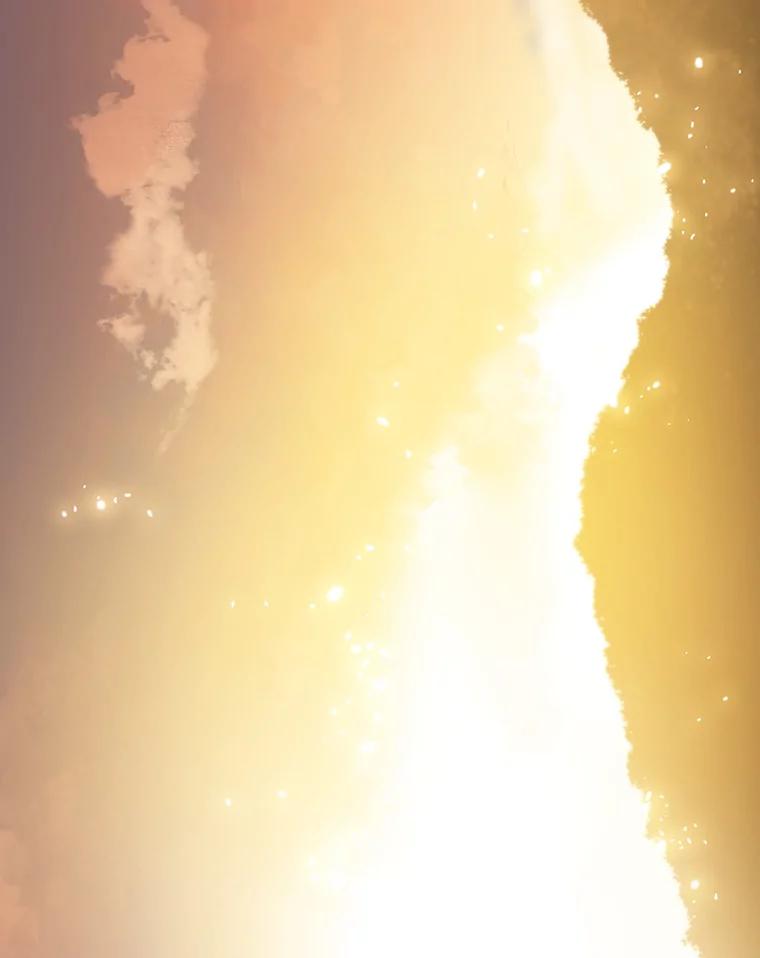 第260页