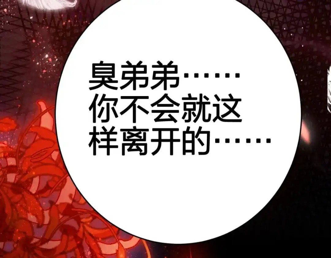 第204页