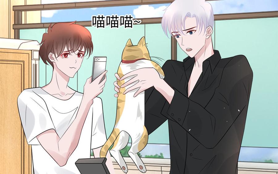 第135页