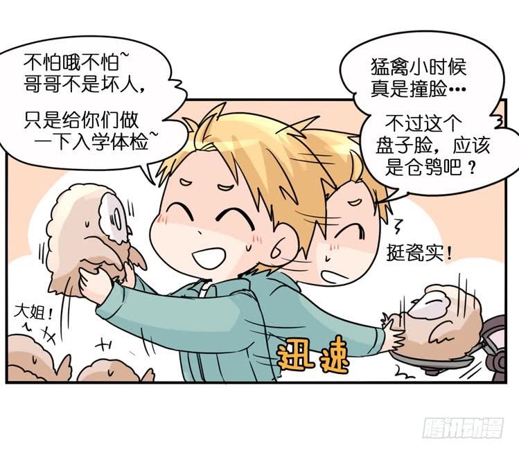 第35页