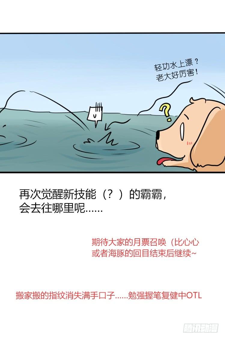 第43页
