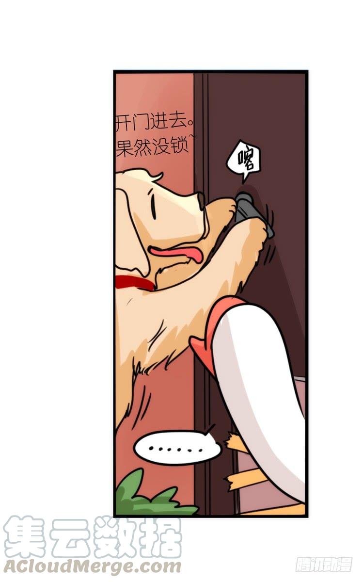 第41页