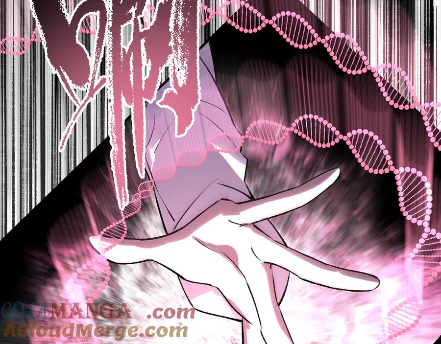第217页