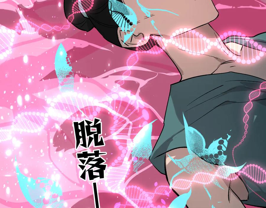 第246页