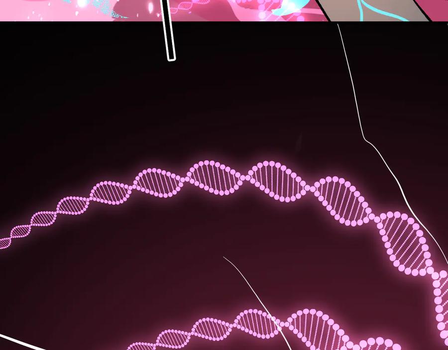 第247页