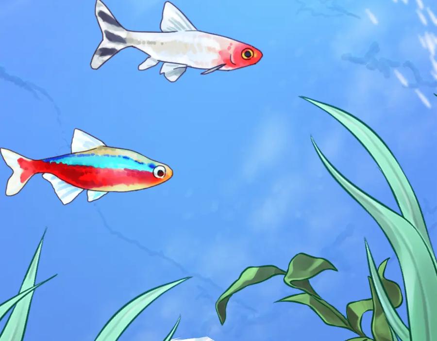 第202页
