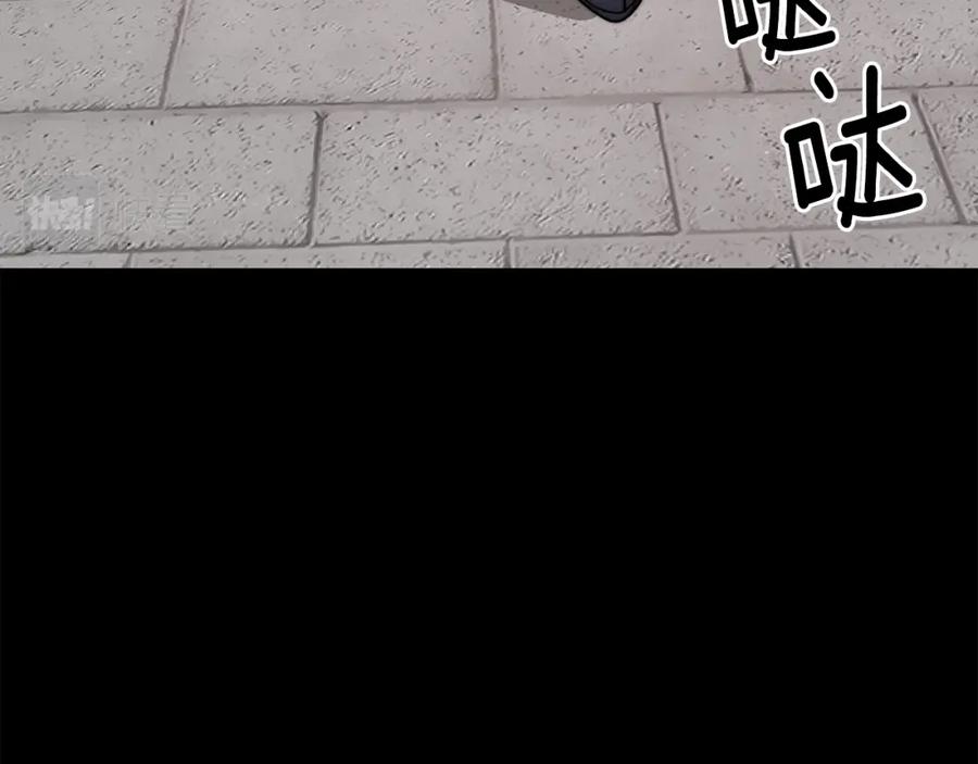 第238页