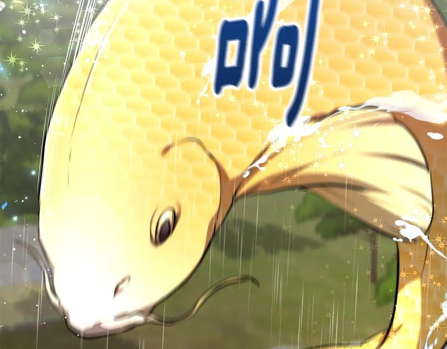 第206页