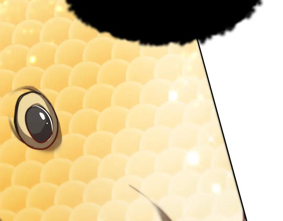 第224页