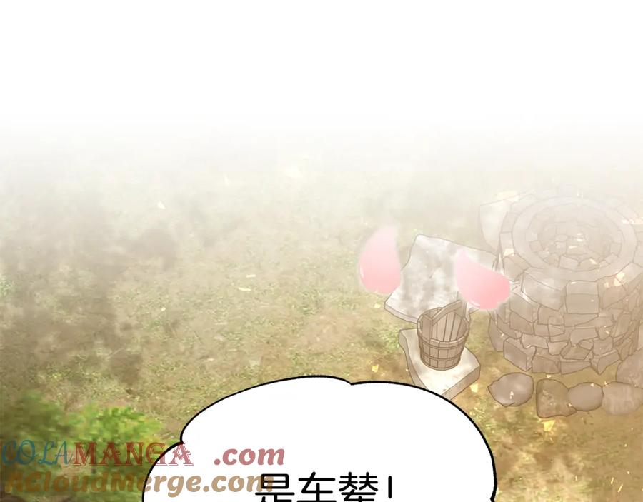 第447页