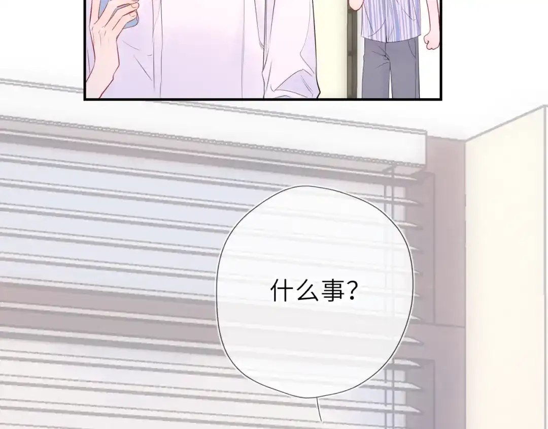 第204页