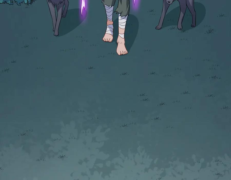 第146页