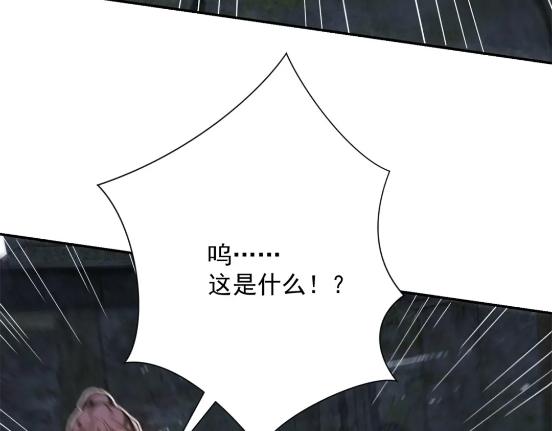 第264页