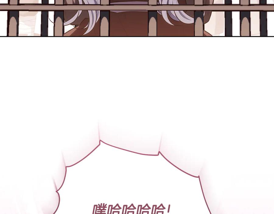 第243页