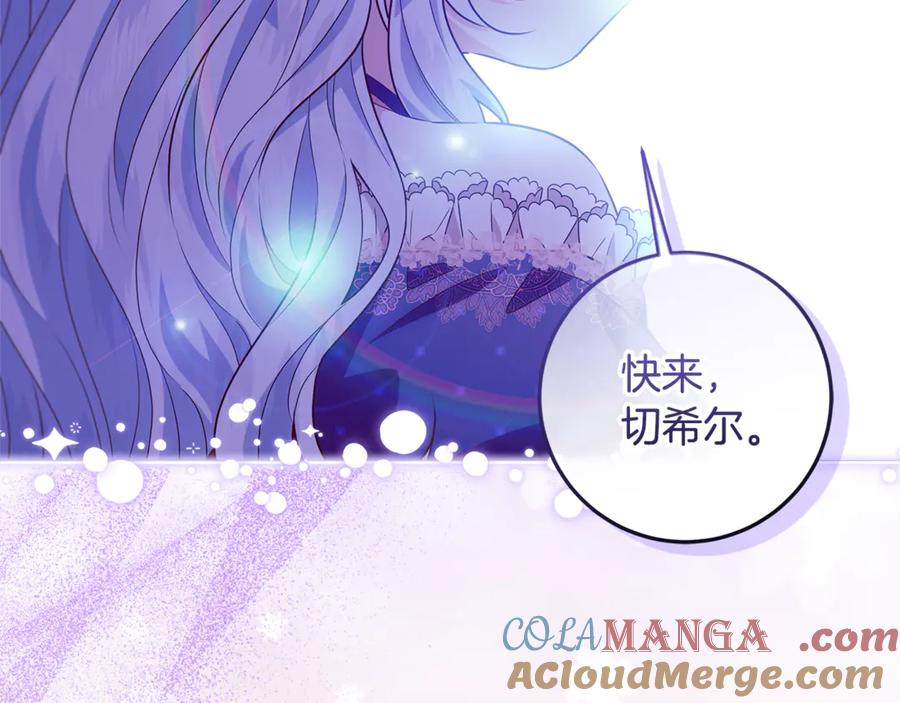 第213页