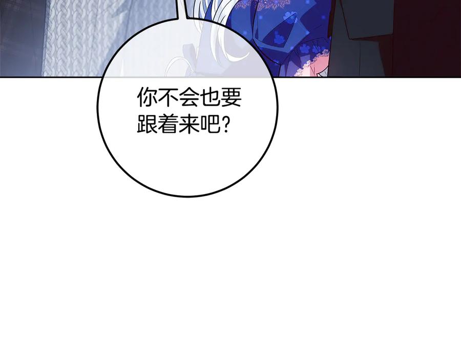 第223页
