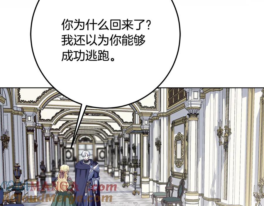 第229页