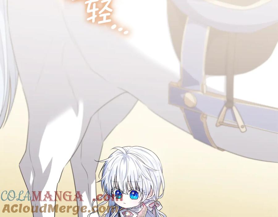 第205页