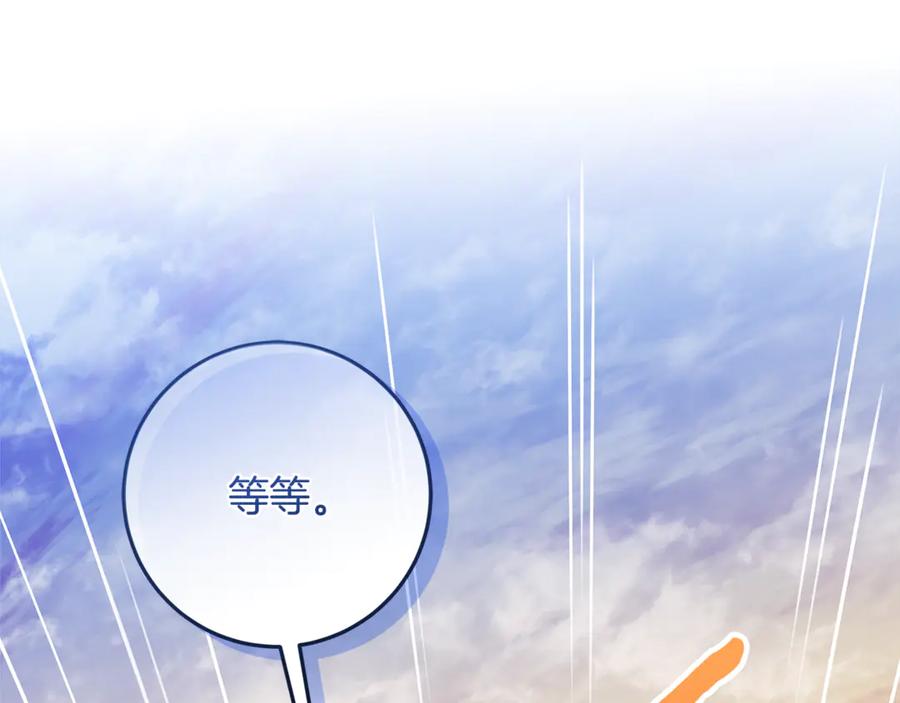第223页