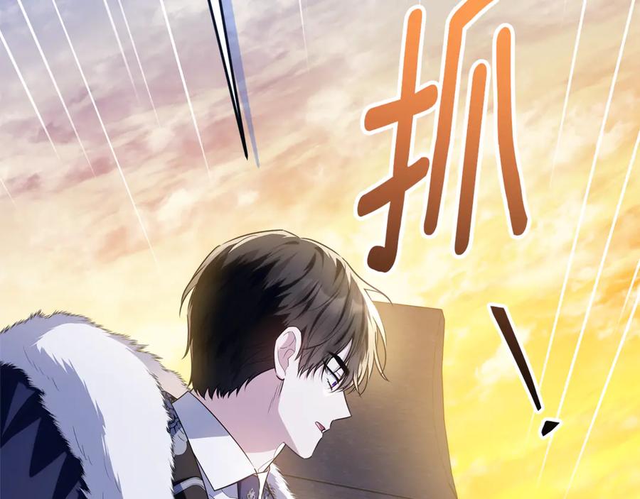 第224页
