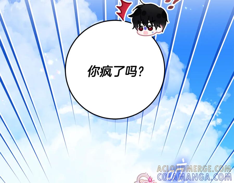 第221页