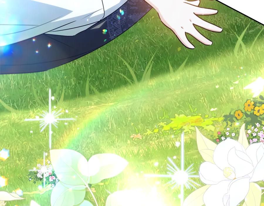 第242页