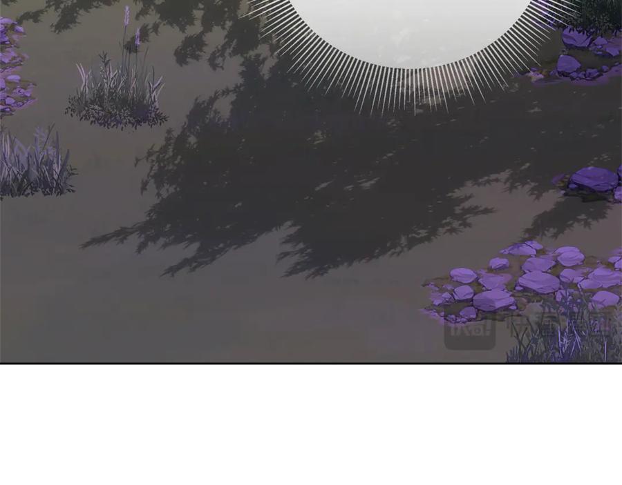 第206页