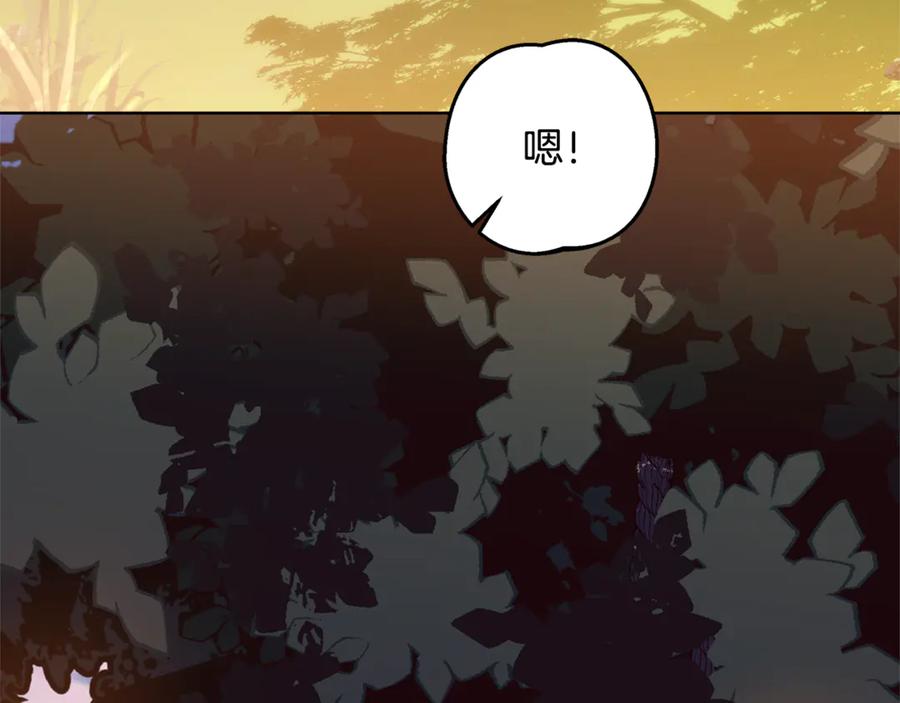 第216页