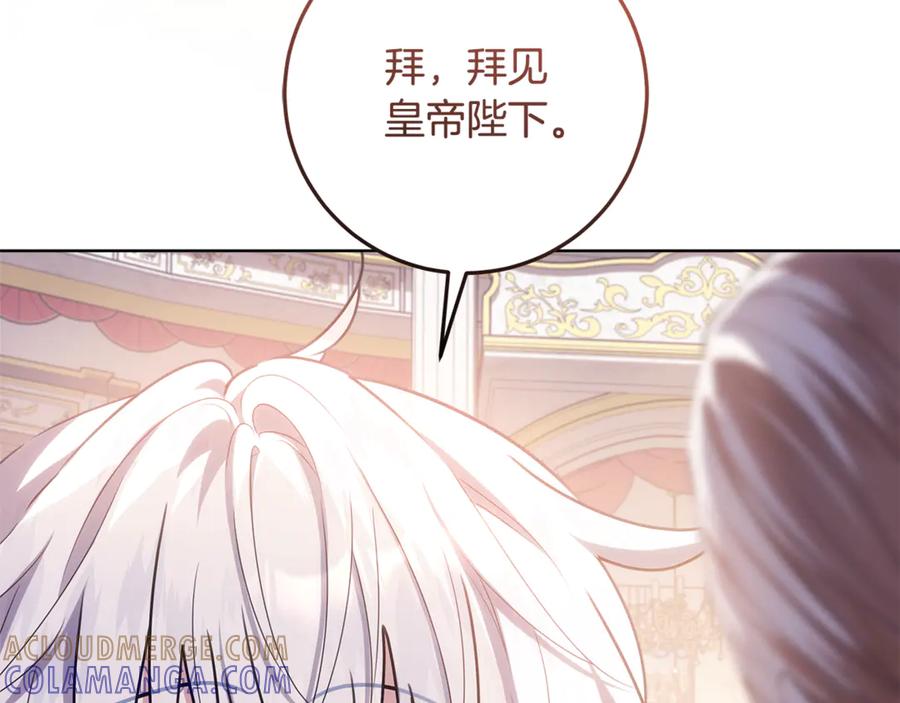 第229页